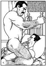 Querelle