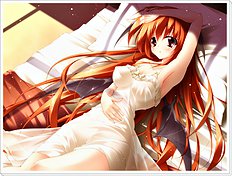 Midori Shinzo