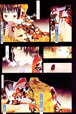 Okamax Ch. 'camellias' [okama] [ENG]
