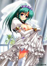 Wedding dress collection