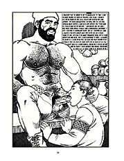 Crusaders