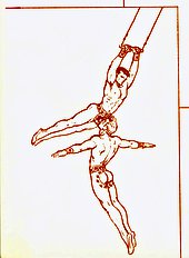 Circus