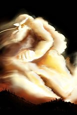 Artist galleries 16