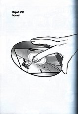 Dulce Report 3