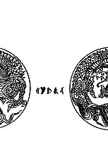 Hydra