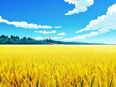 Yaoi images set 034