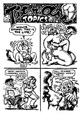 Fuckbook a collection of sexcomics (Crumb)