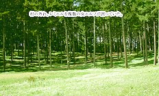 Fabulous outdoor, futanari, group hentai images