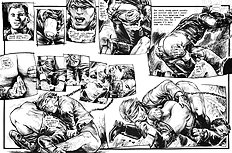 Rogue The Package