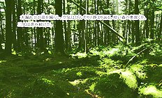 Fabulous outdoor, futanari, group hentai images