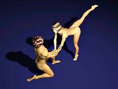 3D Image Set 27
