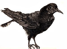 Artist galleries 21