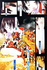 Okamax Ch. 'camellias' [okama] [ENG]