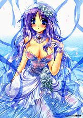 Wedding dress collection