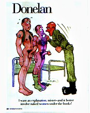 Don 7