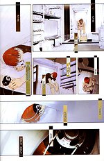 Okamax Ch. 'camellias' [okama] [ENG]