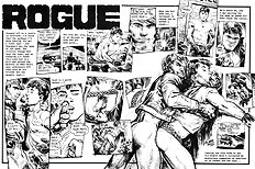 Rogue The Package