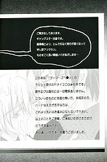 Gamerz Heaven Director's Cut Volumes