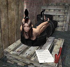 3D Image Set 52