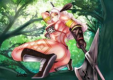 Dragons Crown 1