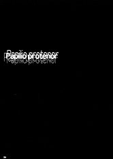 Papilio Protenor