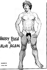 Harry Bush Art 1