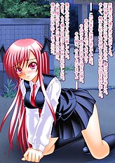 Incredible toys hentai set