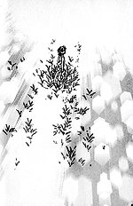 Yume No Kodomo Vol.4