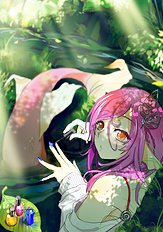 Kurokawa Otogi