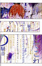 Okamax Ch. 'camellias' [okama] [ENG]