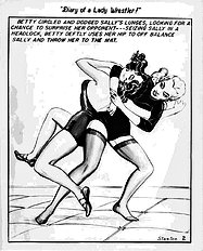 Diary of a lady wrestler (Stanton,Eric)