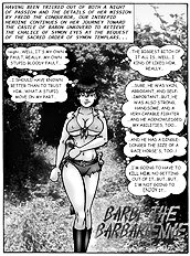 Barbi the barbarienne 5 (Stahl,D)