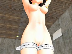 Polygonslaves Haruhi 1