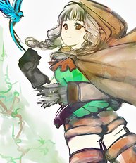 Dragons Crown 9
