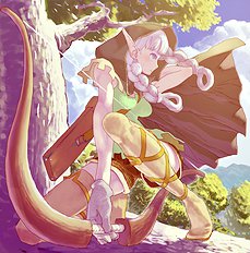 Dragons Crown 9