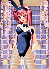 Incredible toys hentai set